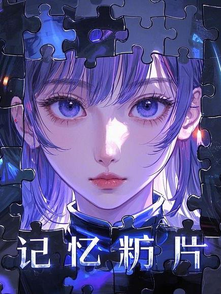 记忆碎片的拼图